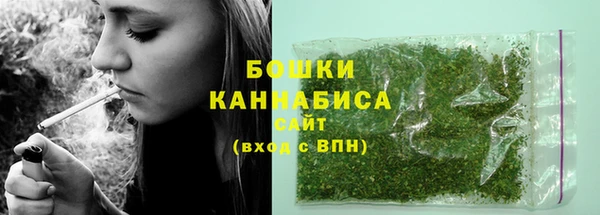 мет Новозыбков
