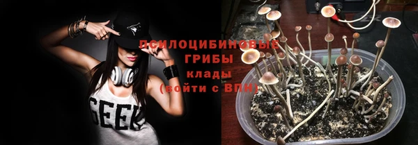 ПСИЛОЦИБИНОВЫЕ ГРИБЫ Новокубанск