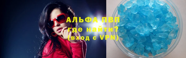 ПСИЛОЦИБИНОВЫЕ ГРИБЫ Новокубанск