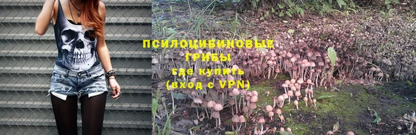 мет Новозыбков