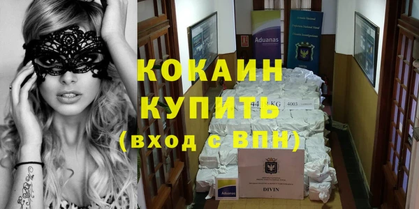 мет Новозыбков