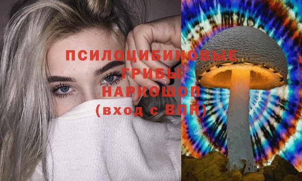 ПСИЛОЦИБИНОВЫЕ ГРИБЫ Новокубанск