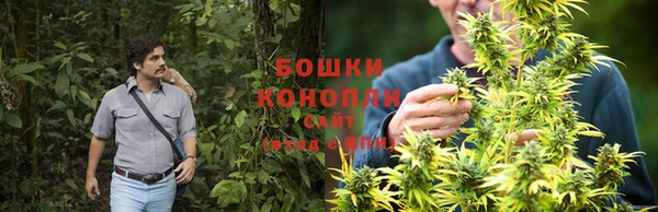 ALPHA PVP Новодвинск