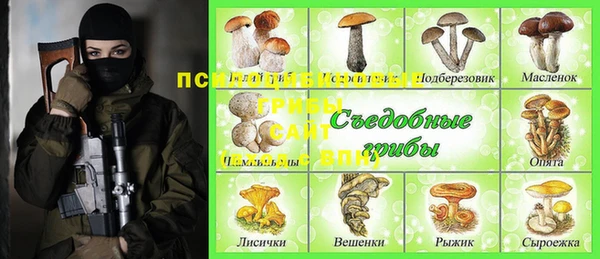 ALPHA PVP Новодвинск