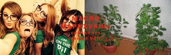 мет Новозыбков