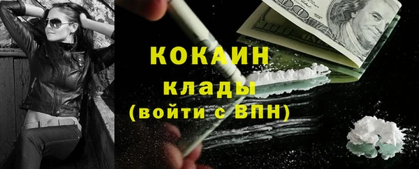 мет Новозыбков