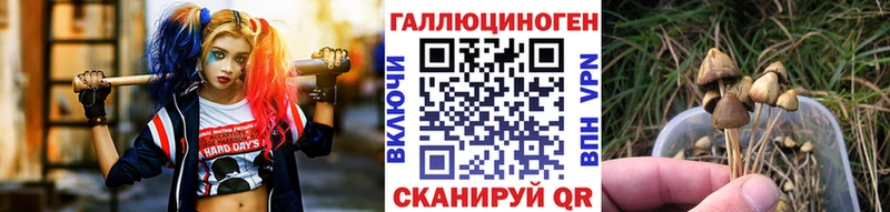 где продают наркотики  Нягань  Псилоцибиновые грибы Cubensis 